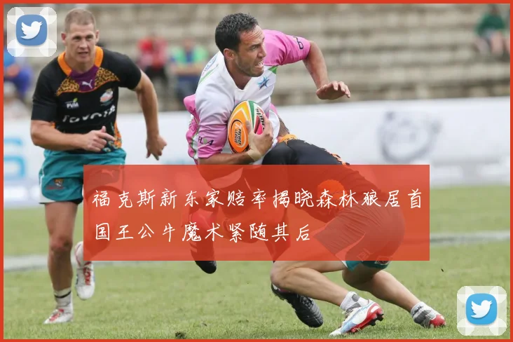 福克斯新东家赔率揭晓森林狼居首国王公牛魔术紧随其后